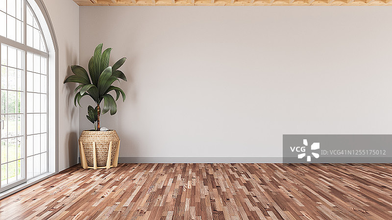 带白色墙壁和植物的现代客厅图片素材