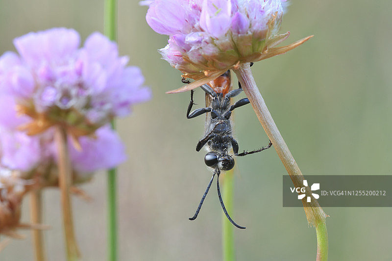 不要放弃！图片素材