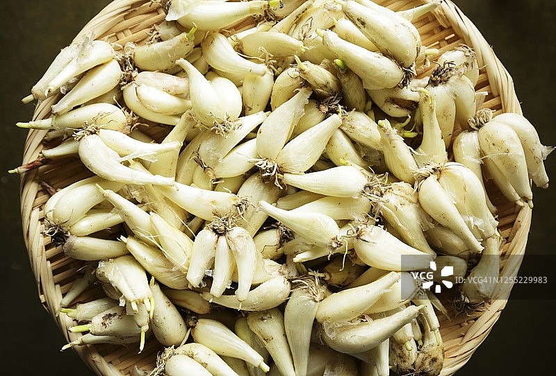 日式小葱头图片素材