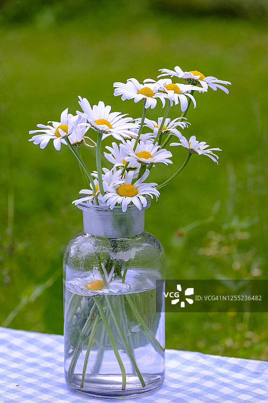 公园里桌子上瓶装雏菊的特写图片素材