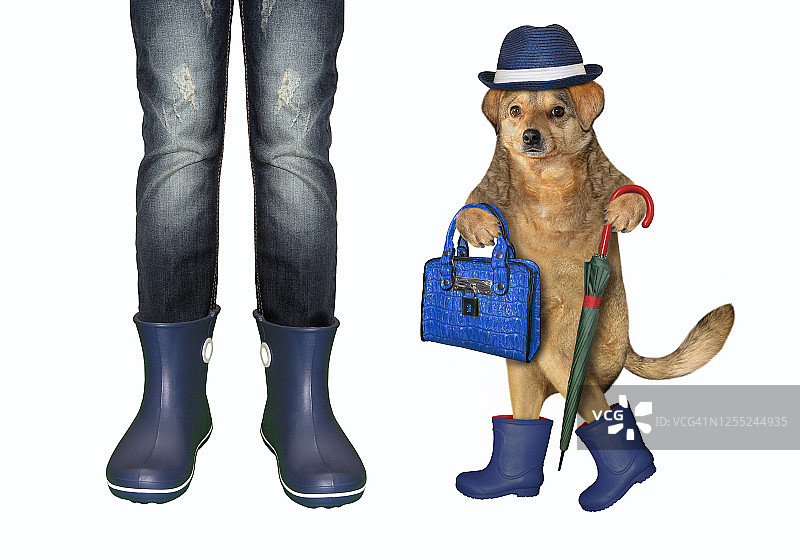 穿蓝色橡胶靴的女孩和狗图片素材