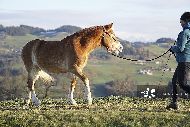 女性盛装舞步教练在乡村景观中引导马匹图片素材