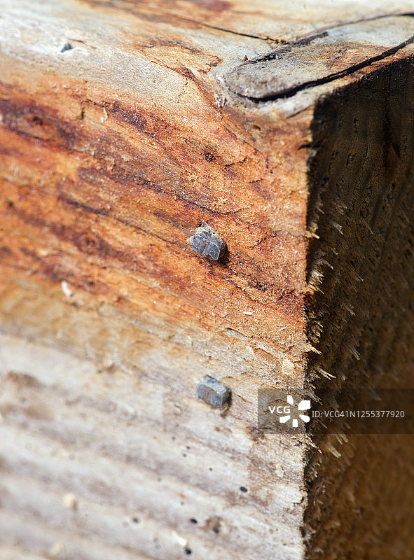 带钉子的木制角接头图片素材