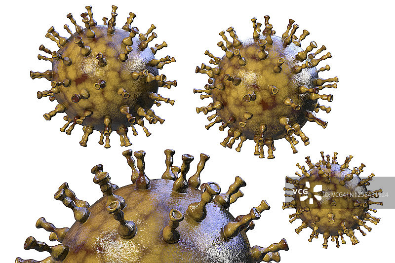 水痘病毒，图示图片素材