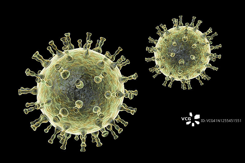 水痘病毒，图示图片素材