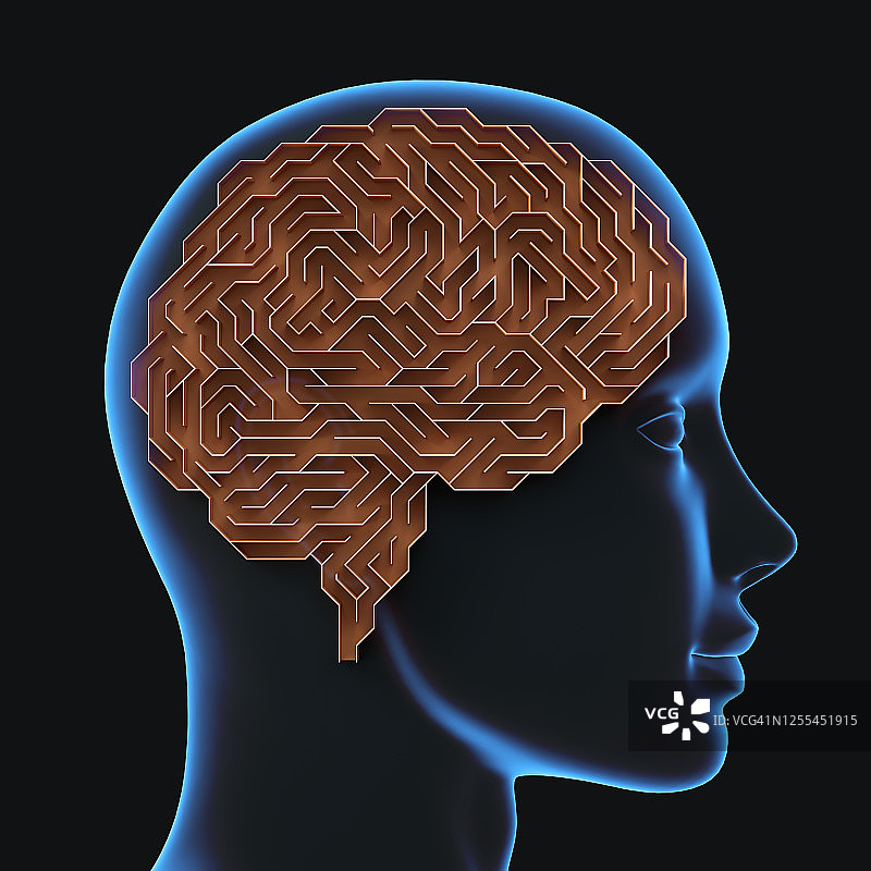 人脑概念图图片素材
