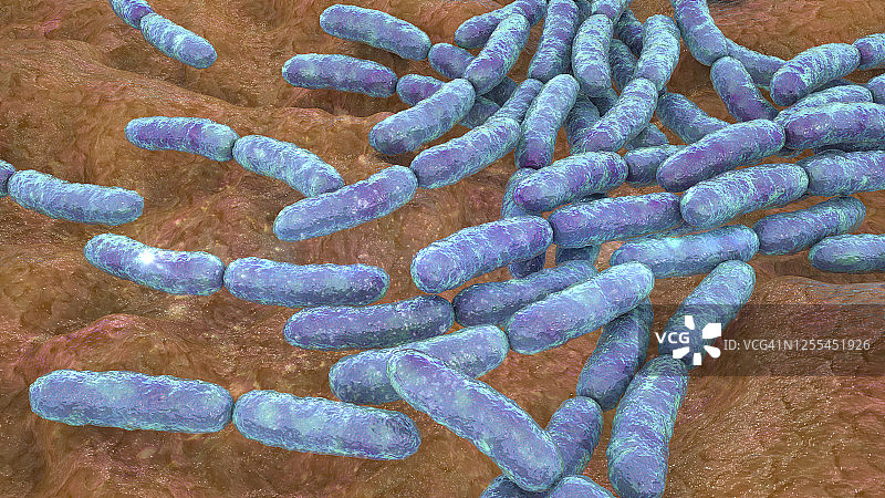 乳酸杆菌图片素材