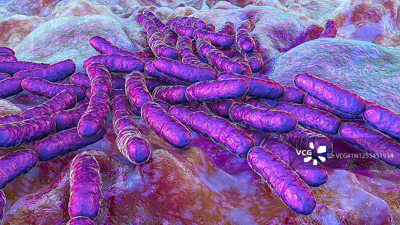 乳酸杆菌图片素材