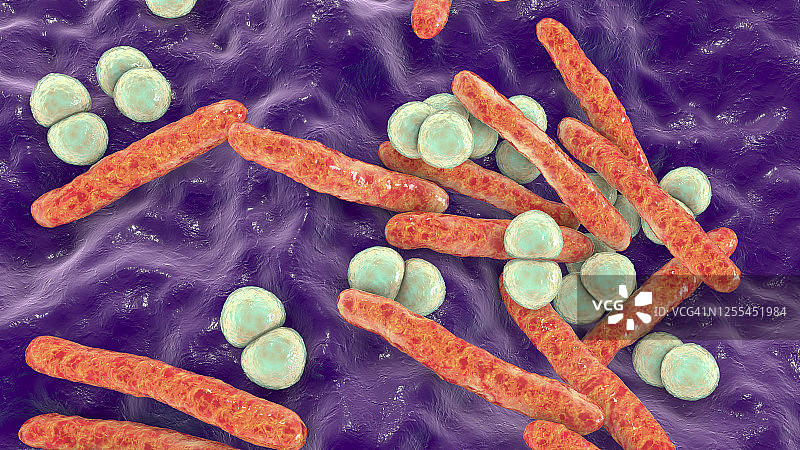 分枝杆菌和链球菌细菌插画图片素材