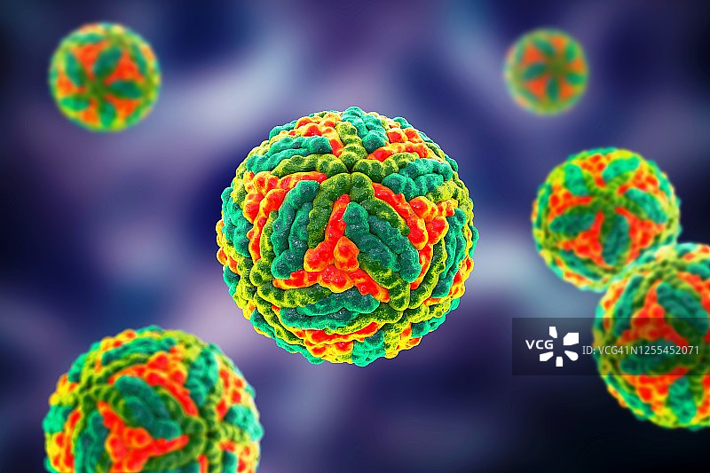 圣路易斯脑炎病毒颗粒示意图图片素材