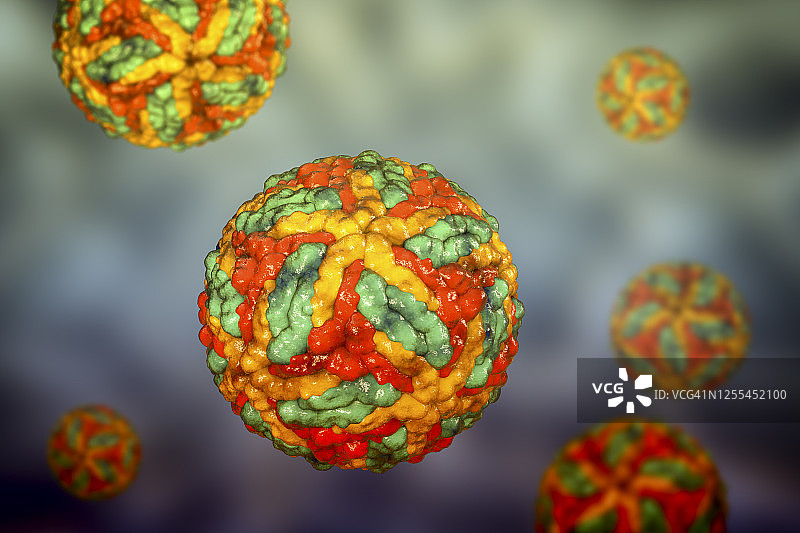 圣路易斯脑炎病毒颗粒示意图图片素材