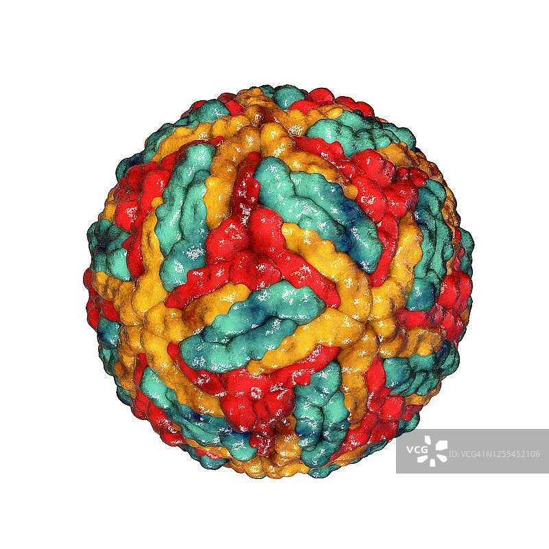 圣路易斯脑炎病毒颗粒示意图图片素材
