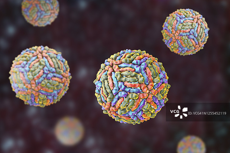 西尼罗河病毒颗粒插图图片素材