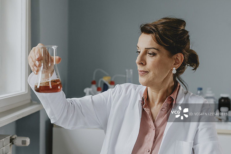 年长的女性研究员在实验室检查一种液体的Erlemeyer Flask图片素材