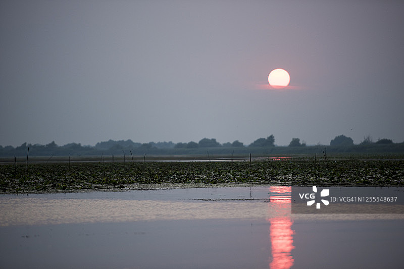 罗马尼亚多瑙河三角洲夏季的壮丽日落图片素材