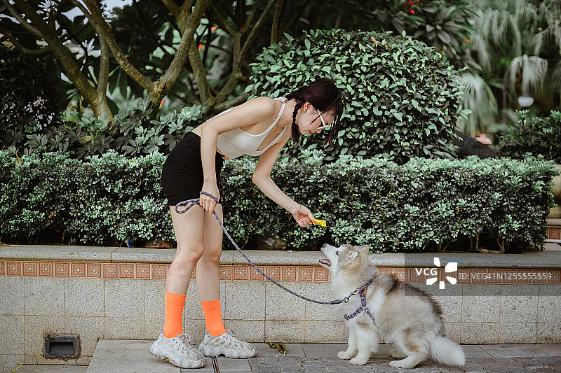 女孩遛狗图片素材