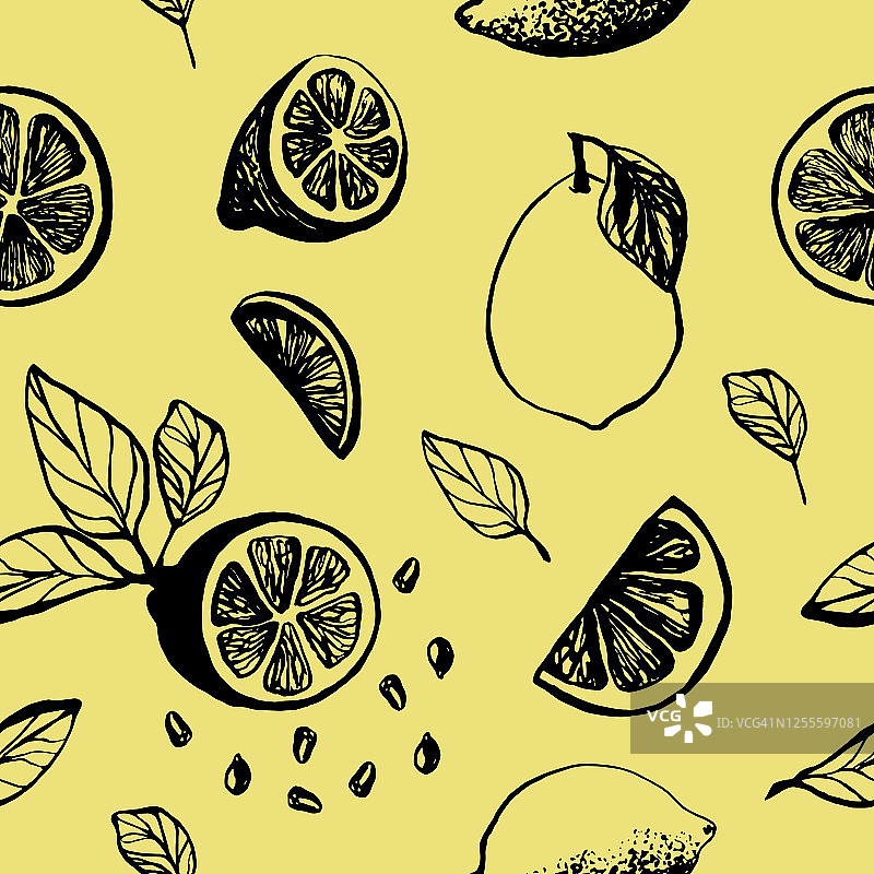 手绘柠檬切片图案图片素材