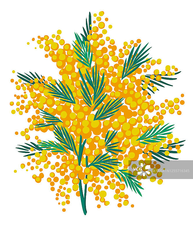 矢量白色背景花园花卉无缝插画图片素材