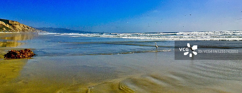 布莱克斯海滩燕鸥白鹭广角全景图片素材