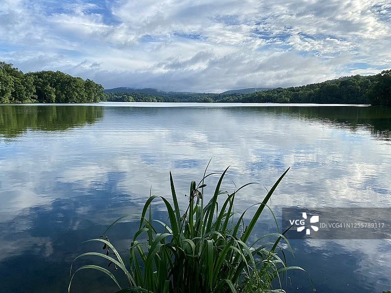 湖泊、森林与天空图片素材