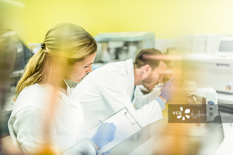 年轻的科学家在实验室工作图片素材