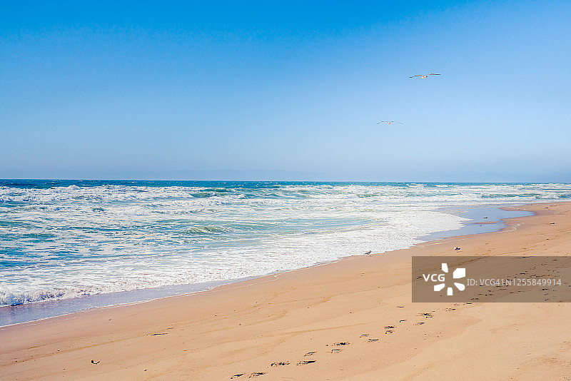 加利福尼亚海岸线阳光明媚的沙滩和蔚蓝的天空图片素材