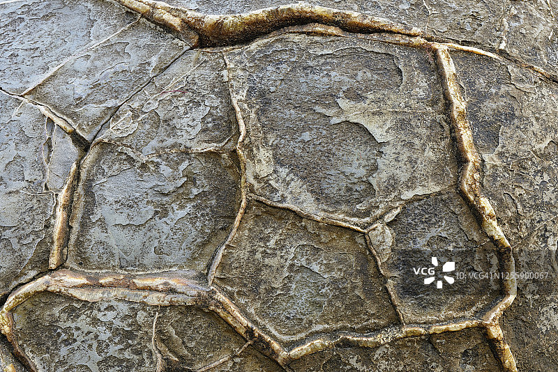 库科赫海滩上的摩拉基巨石特写图片素材