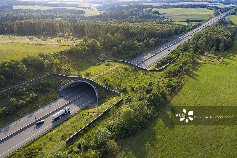 野生动物通道图片素材