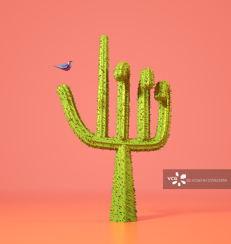 仙人掌手部图片素材