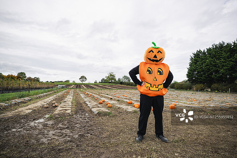 南瓜人！图片素材