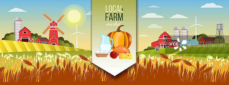 本地农贸市场插画：乡村景观、麦田、磨坊、牛奶罐、南瓜图片素材