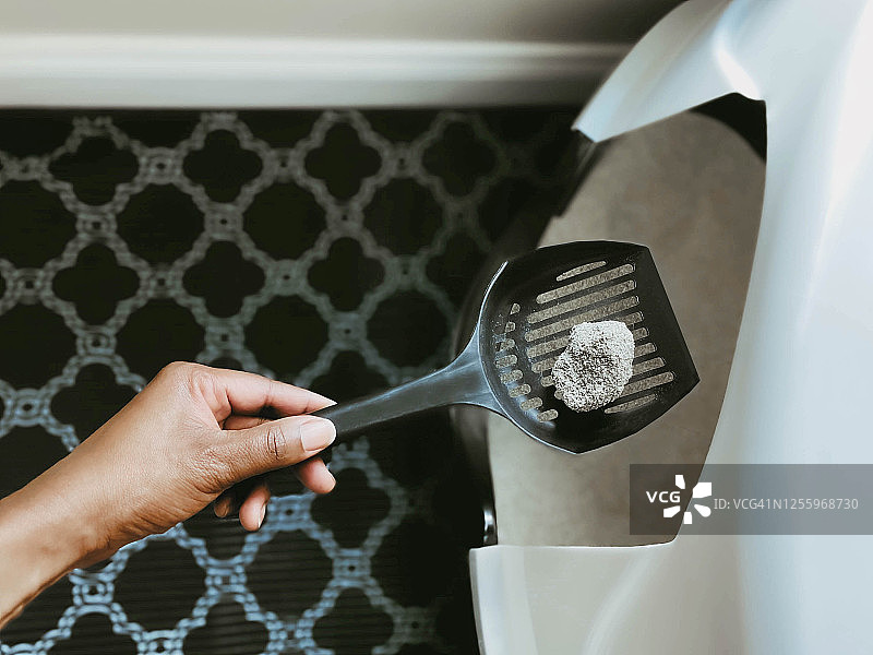 女人清理猫砂图片素材