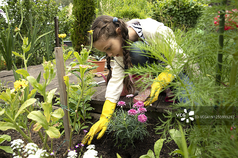 年轻女孩在城市花园种植花卉图片素材