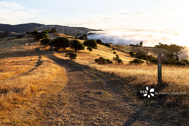 马林县开放空间保护区图片素材