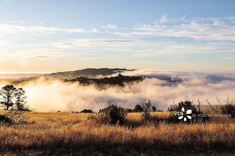 马林开放空间迷雾黎明景色图片素材