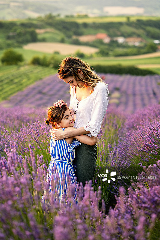 薰衣草地里的幸福家庭图片素材