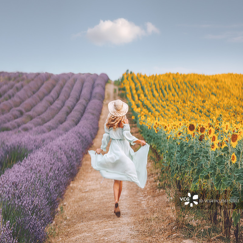 年轻女人在法国普罗旺斯欣赏向日葵和薰衣草田图片素材