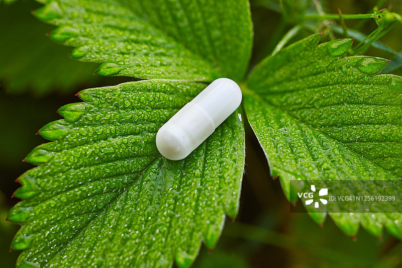 春天黎明时分，绿色植物上的白色药丸特写图片素材