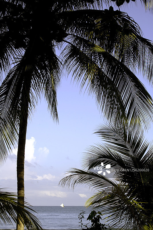 海地大西洋上的早晨图片素材