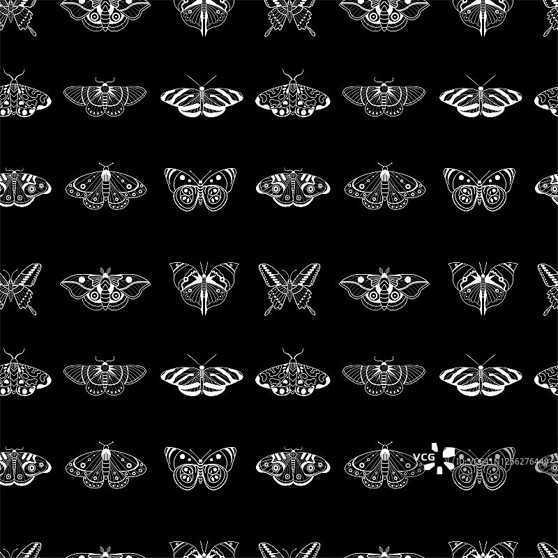 异域蛾和热带蝴蝶无缝图案图片素材