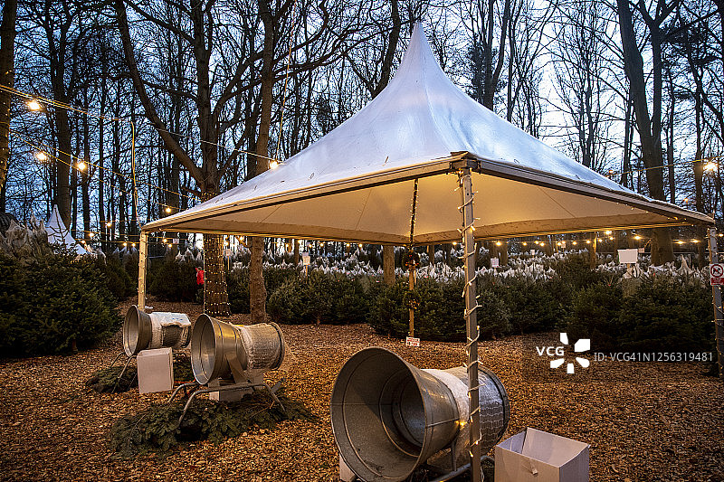 圣诞树农场图片素材