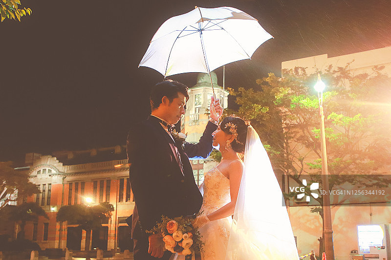 快乐的新婚夫妇合影图片素材