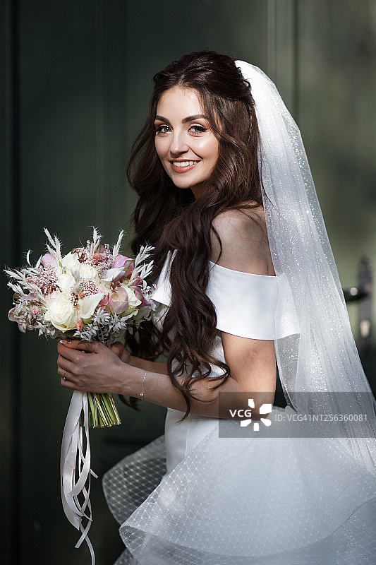 完美黑发新娘的户外肖像图片素材