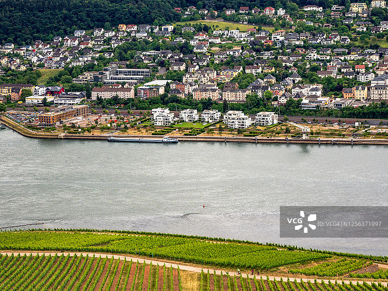 莱茵高葡萄酒产区：雷司令葡萄园图片素材