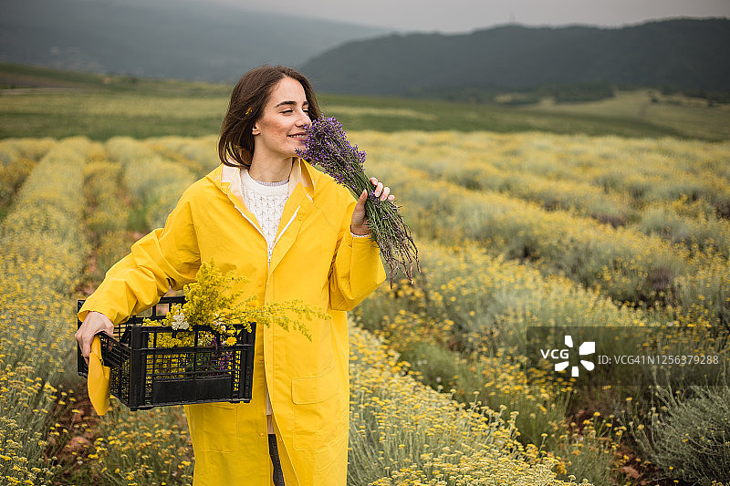 年轻女人在草药田中散步图片素材