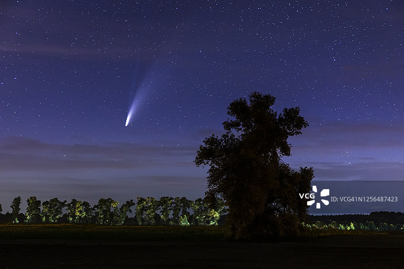 NEOWISE彗星C/2020 F3飞跃孤独的树图片素材