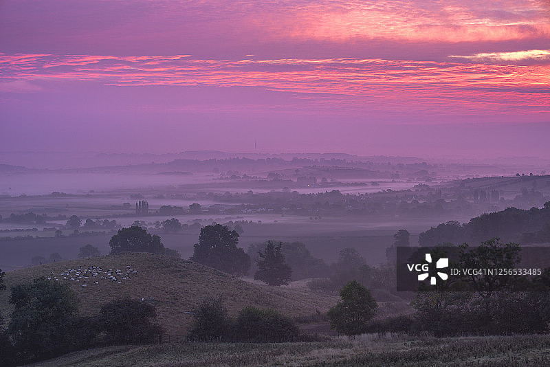 温彻斯特日出，绵羊和原野，英国汉普郡图片素材