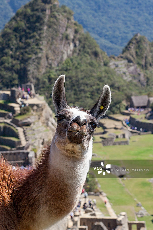 你好！图片素材