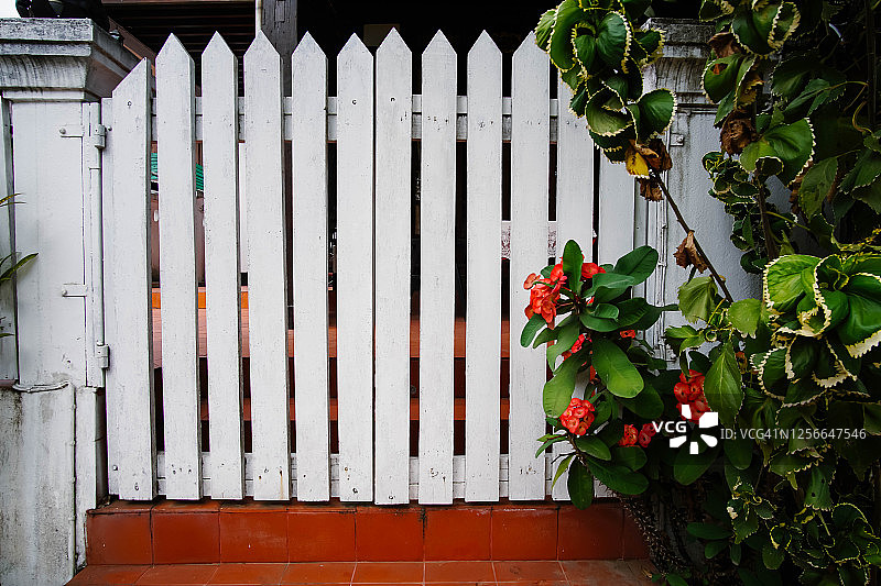 白色木栅栏与红色花朵图片素材