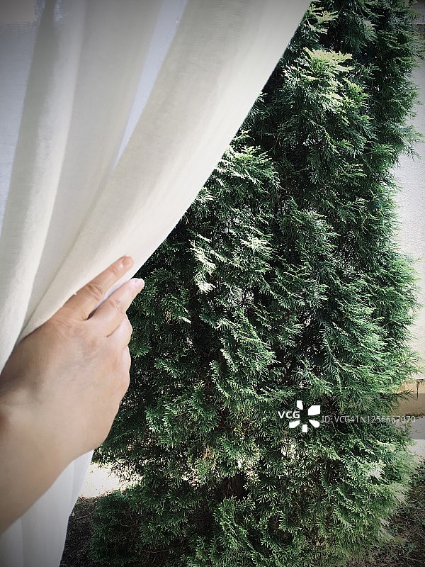 女性在凉棚上拉开窗帘图片素材